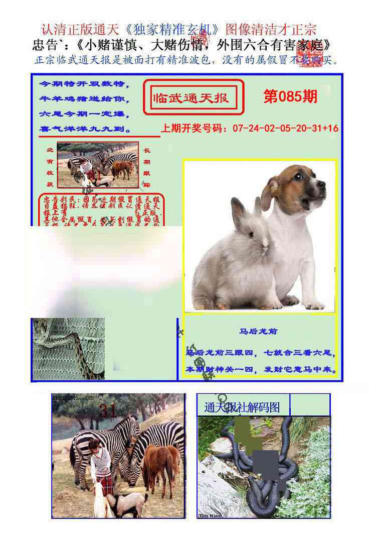085期临武通天报[图]