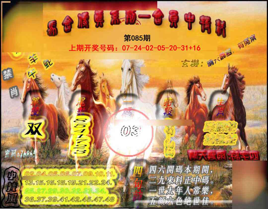 085期马会传真-会员报[图]